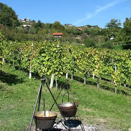 Zorko Gostilna Domen Gostinjska kuća