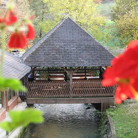 Gostinjska kuća Zorko Gostilna Domen 3*