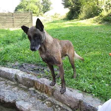 Zorko Gostilna Domen 3* Šmarješke Toplice