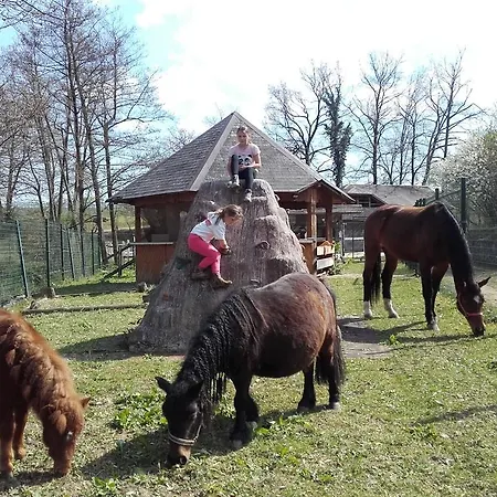Zorko Gostilna Domen Gostinjska kuća