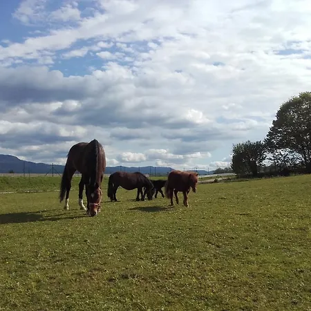 Zorko Gostilna Domen Smarjeske Toplice