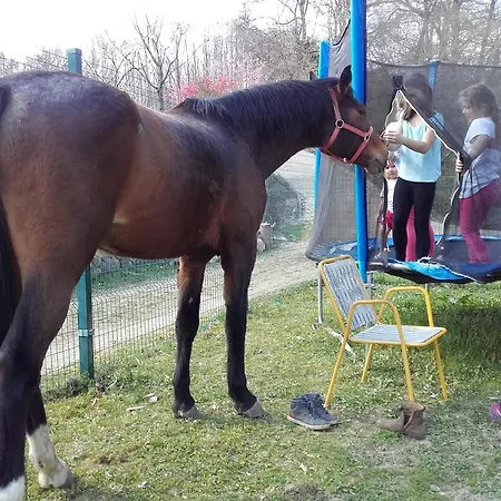 Zorko Gostilna Domen Smarjeske Toplice