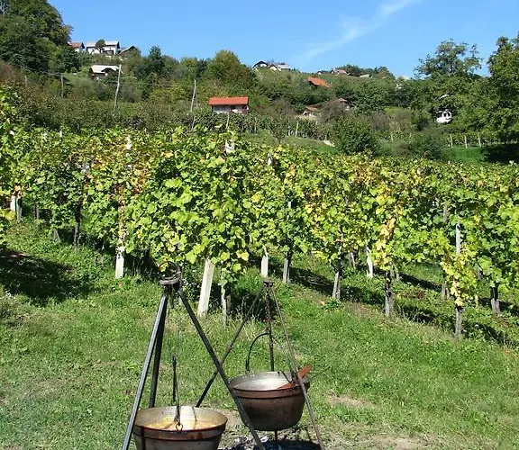 Zorko Gostilna Domen Guest house