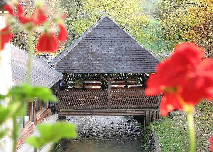 Guest house Zorko Gostilna Domen 3*