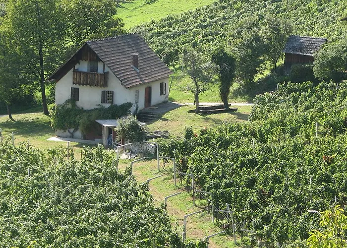 Zorko Gostilna Domen Šmarješke Toplice