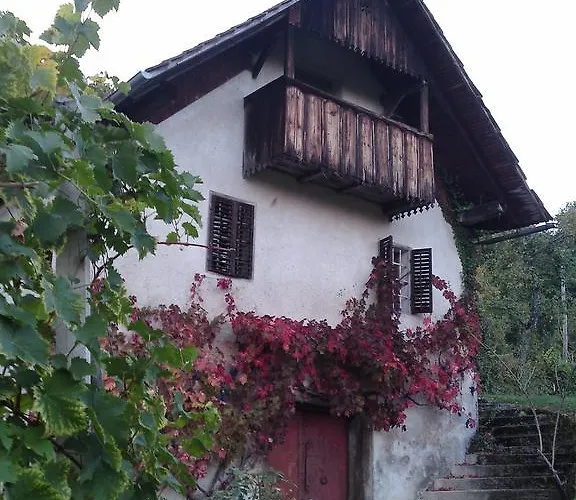 Zorko Gostilna Domen Guest house 3*