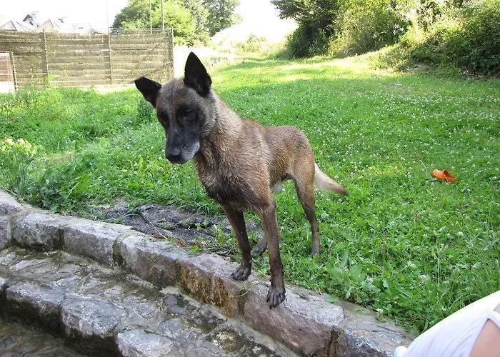 Zorko Gostilna Domen 3* Šmarješke Toplice