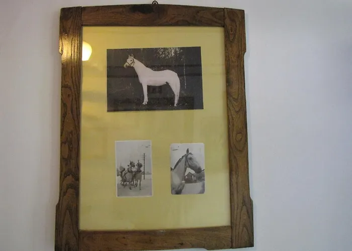 Guest house Zorko Gostilna Domen