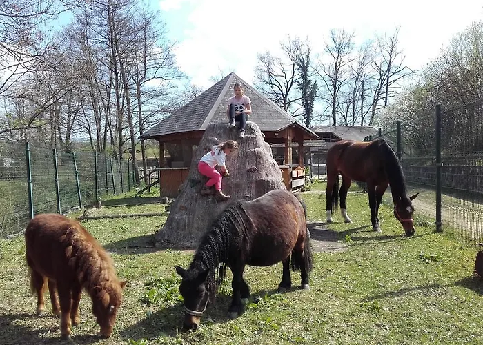 Zorko Gostilna Domen Guest house