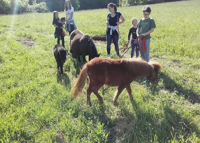 Zorko Gostilna Domen Penzion 3*