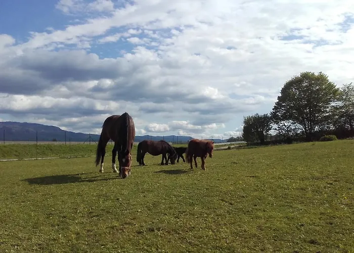 Zorko Gostilna Domen Šmarješke Toplice