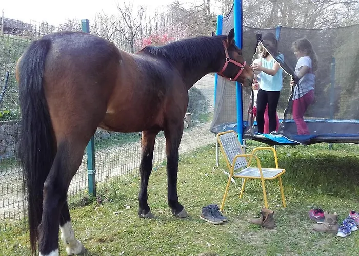 Zorko Gostilna Domen Šmarješke Toplice